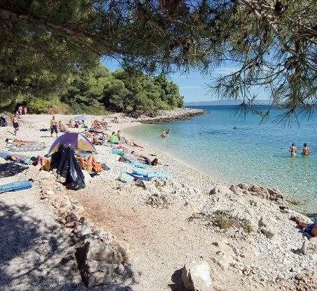 Appartamento Summer Lounge *