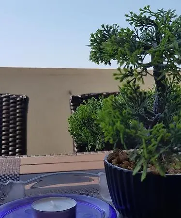 Summer Lounge アパート