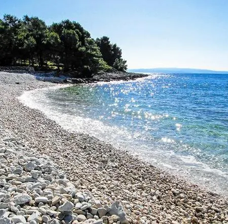 Summer Lounge * تروغير