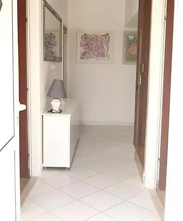 Summer Lounge * تروغير